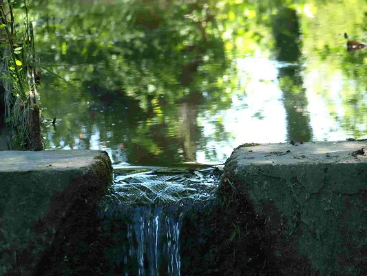 Le Moulin Hubeau — photo 12